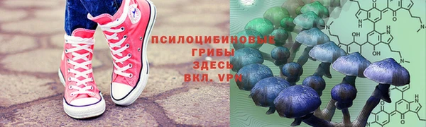 дживик Балахна