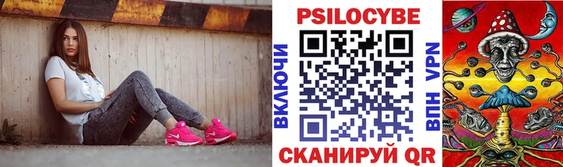 закладка  omg зеркало  Галлюциногенные грибы мухоморы  Волчанск 